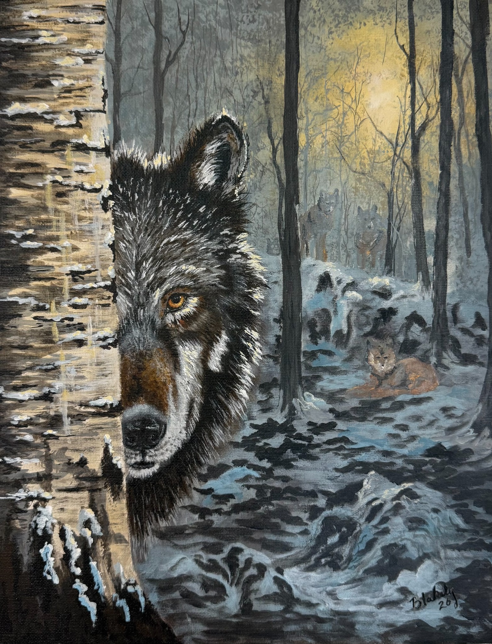 Not Quite Alone, an original acrylic painting by Hope Blakely, showing a wolf peering around a birch tree with its pack in a snowy forest.