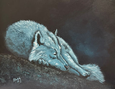 Night Wolf, a moonlit white wolf painting by Hope Blakely, painted at the 2025 Oklahoma City Painting Palooza with Marco Aguilar. The dark night scene makes the wolf appear illuminated by moonlight.