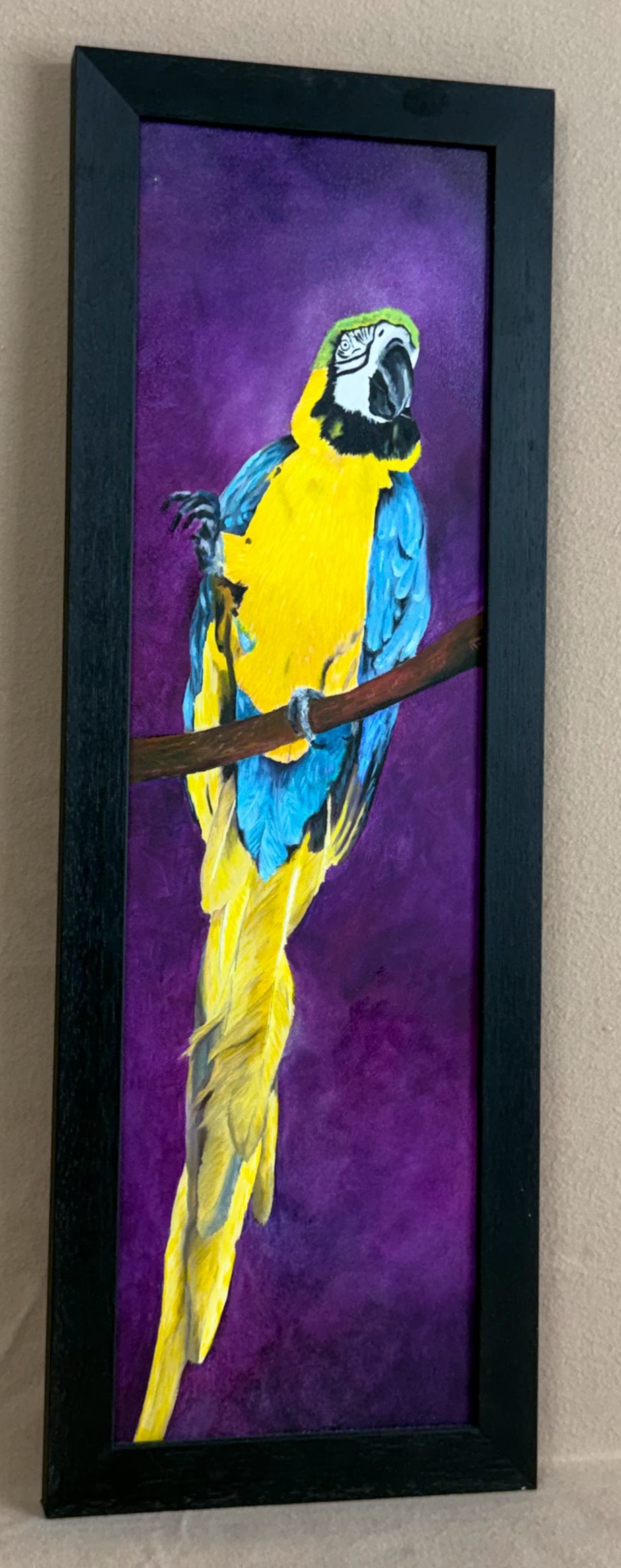 Framed 7×21 oil on hardboard painting, The Showman, inspired by Denver Zoo photo by artist Hope Blakely
