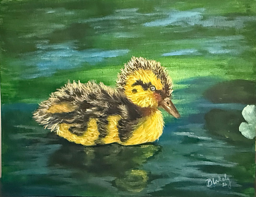 Mixed Media Duckling Class