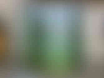 Some of Dana's Paintings