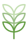 緑色植物