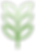 Green Plant
