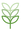 Plante verte