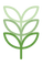 Green Plant