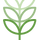 緑色植物