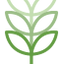 Writer: Green Carnival