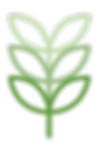 Green Plant