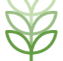 Green Plant