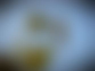 Grapevine Recovery After a Frost Event