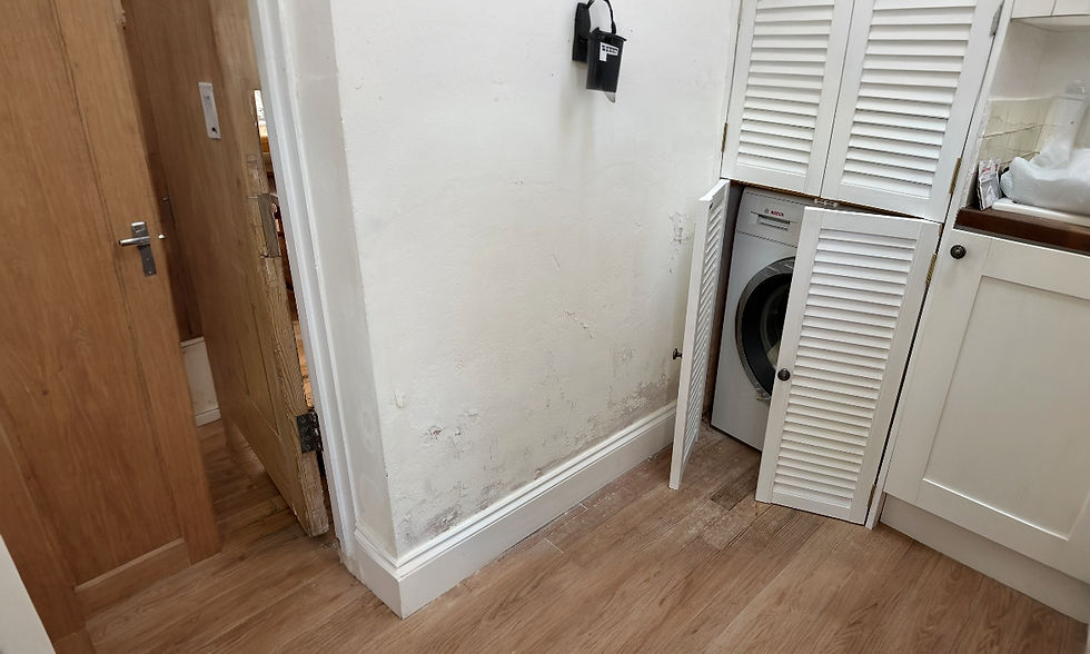 Rising Damp in Horsham 