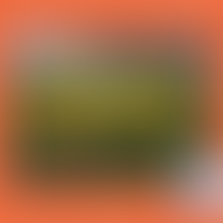 Ilchester Hurricanes U13s Remember