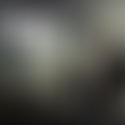 The Last of Us – Saison 2 : Un nouveau chapitre intense et bouleversant