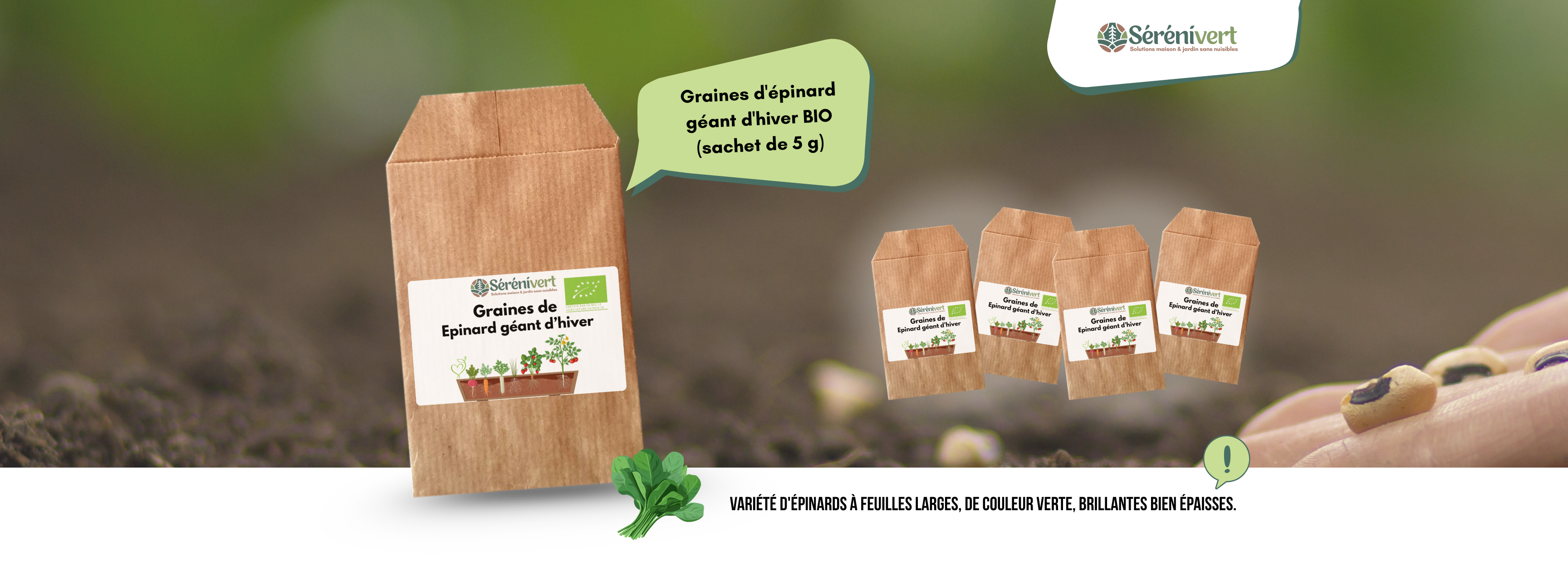 Graines d'épinards géants Bio 5g