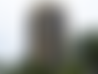 Autonomia blinda BC de ingerências político-partidárias na condução da taxa de juros, diz economista