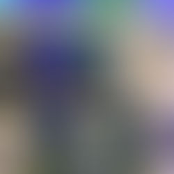 Next Level no Portugal Football Summit 2025