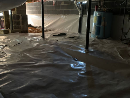 How to keep pests and critters out of your mountain home