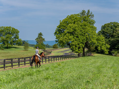 A girl riding a horse 