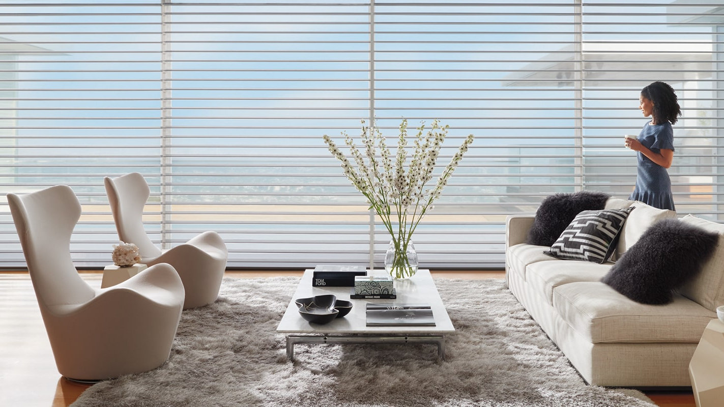 Hunter Douglas Silhouette® Window Shadings Carolina Blinds
