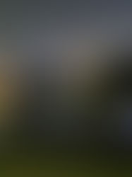 2025 JR安倍川駅東口ロータリーに地域への感謝を込めたイルミネーション点灯