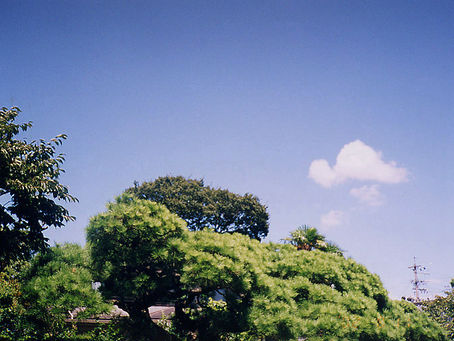 2002年 長田フォトコンテスト応募作品 1~5