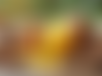 Top Natural Ingredients in Skin Ointments Explained