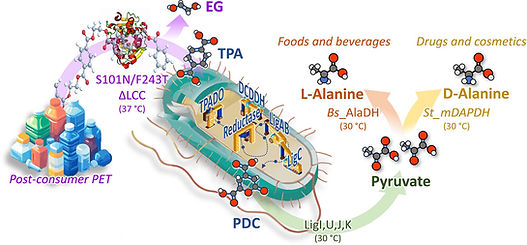 image paper ProPla.jpeg