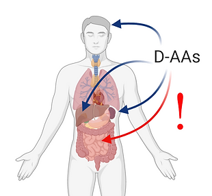 Immagine1 microbiota.png