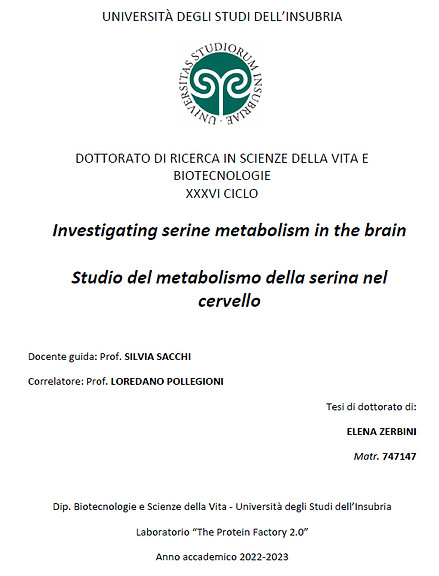 PhD thesis by Elena Zerbini