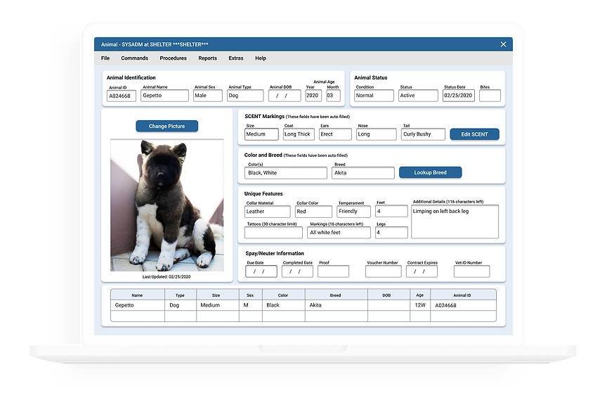 Filled form, final design