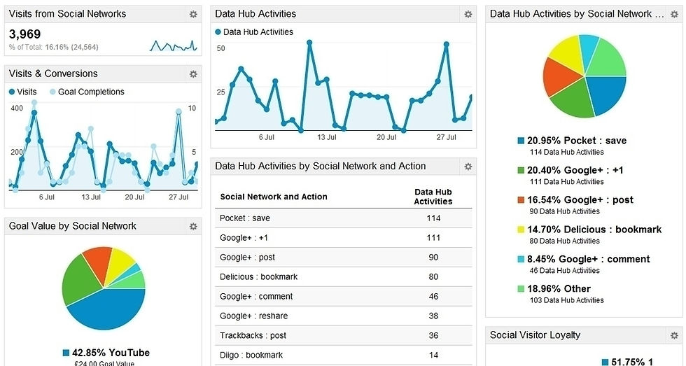 Google Analytics chart with line graphs and pie charts