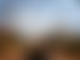 A woman holds a "Free Your Mind" banner in a wooded area. Trees with bare branches frame the serene, sunny scene.