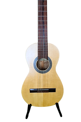 4428 Companion Model