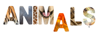 ANIMALS (1).png