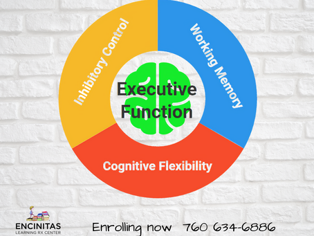 Executive Function