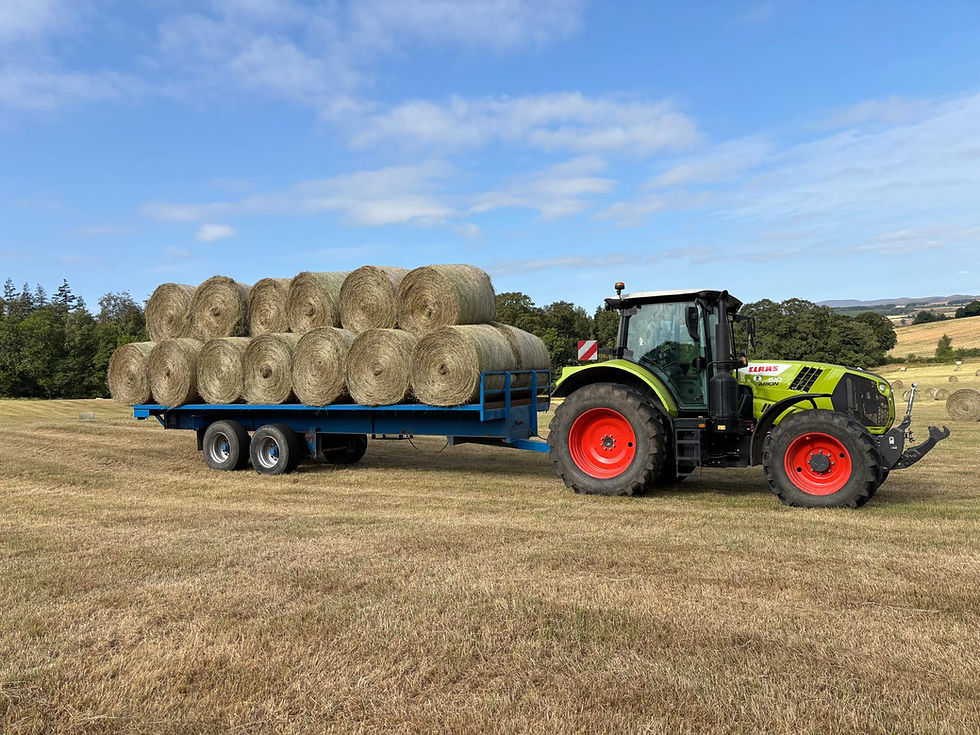 Making Hay While the Sun Shines ☀️