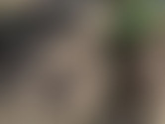 A Day in the Field: Reflecting on Soil Health