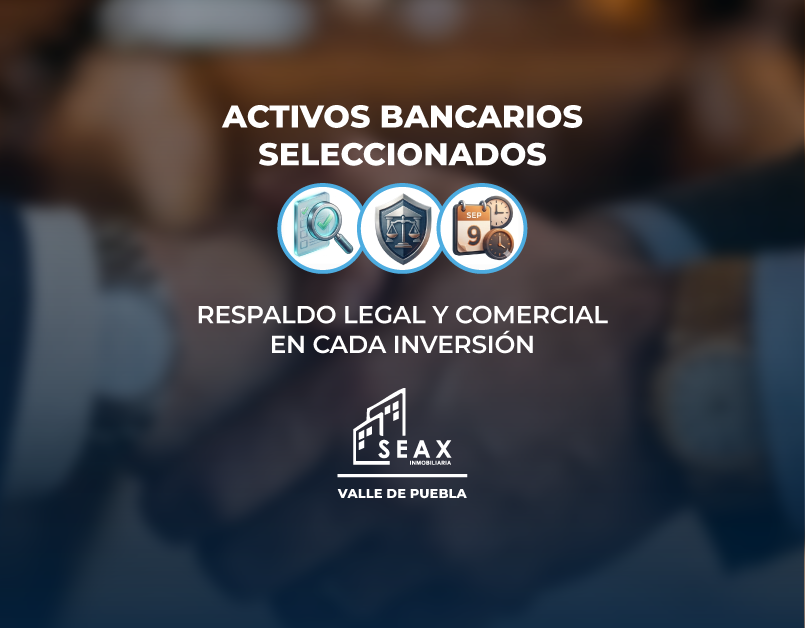 SEAX SEGURIDAD.png