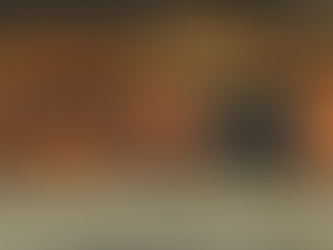 Centralization Without Compromise: PHAZER™: FLEX Enables Smooth Liner Deployment.