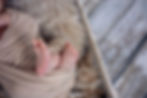 n31.jpg