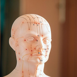 Modèle de tête illustrant les points et méridiens utilisés dans l’enseignement des bases de la médecine chinoise
