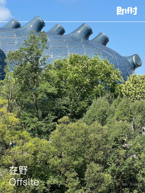 格拉茨与台湾的菜园