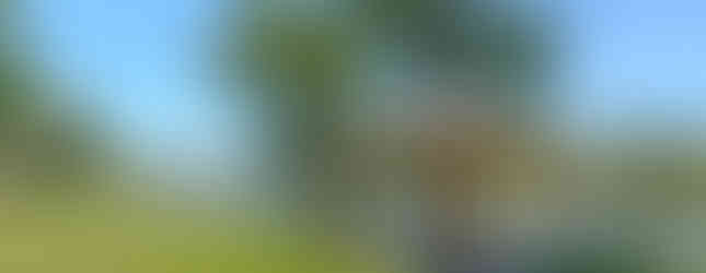 Professional HDR Airbnb- Shaded Canopy