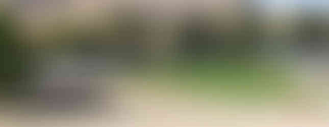 Amateur photos of garden area