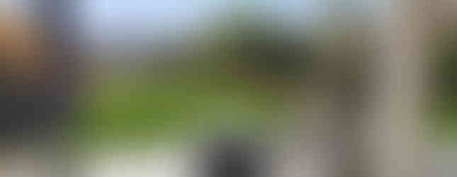 Amateur photos of garden area