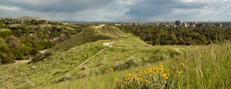 Camelsback Park ridge with wildflowers on the fill during Spring