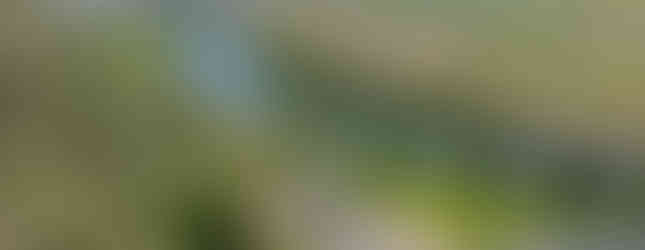 Wide Aerial drone Airbnb Photo showcasing the surrounding area