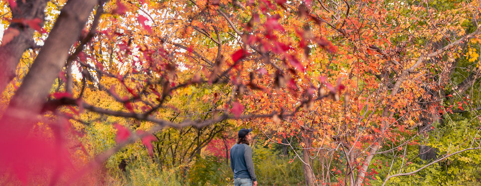 Self portrait of Josh at Kathryn Albertsons Park- Fall