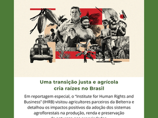 A Belterra Agroflorestas é destaque na matéria “Uma transição justa e agrícola cria raízes no Brasil”, publicada pela Just Stories.