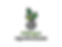 site-img-instituto copiar.jpg